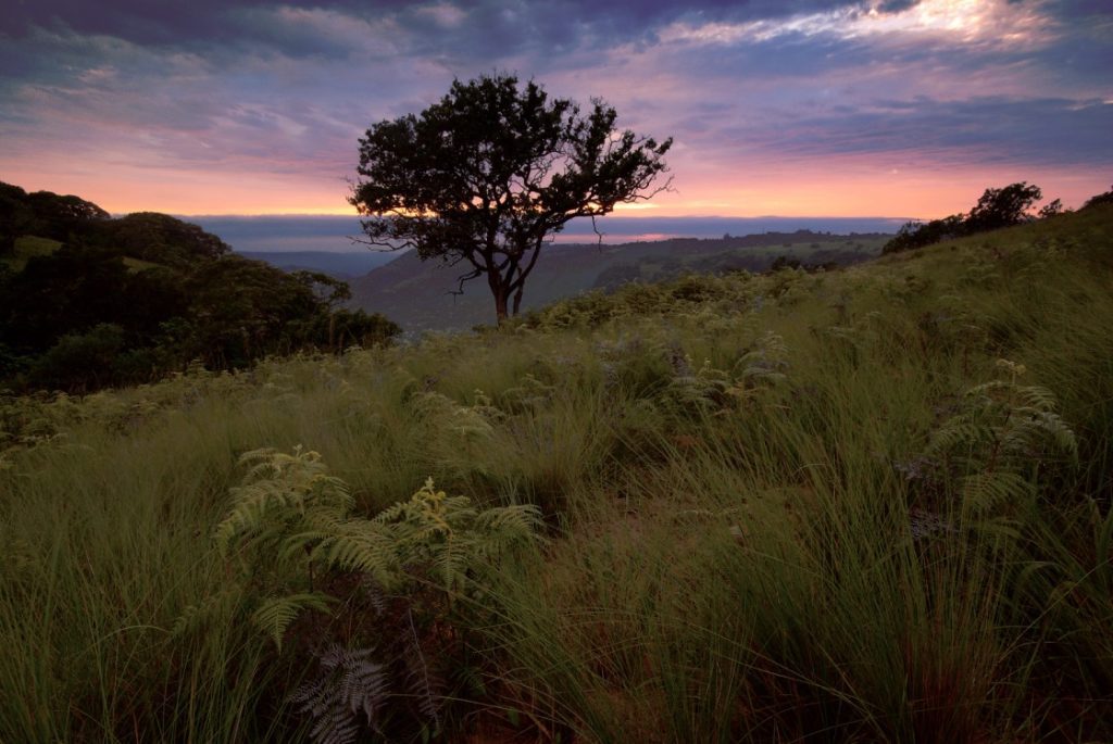 Kranzkloof Nature Reserve in KwaZulu-Natal used as a symbolic ashes scattering location