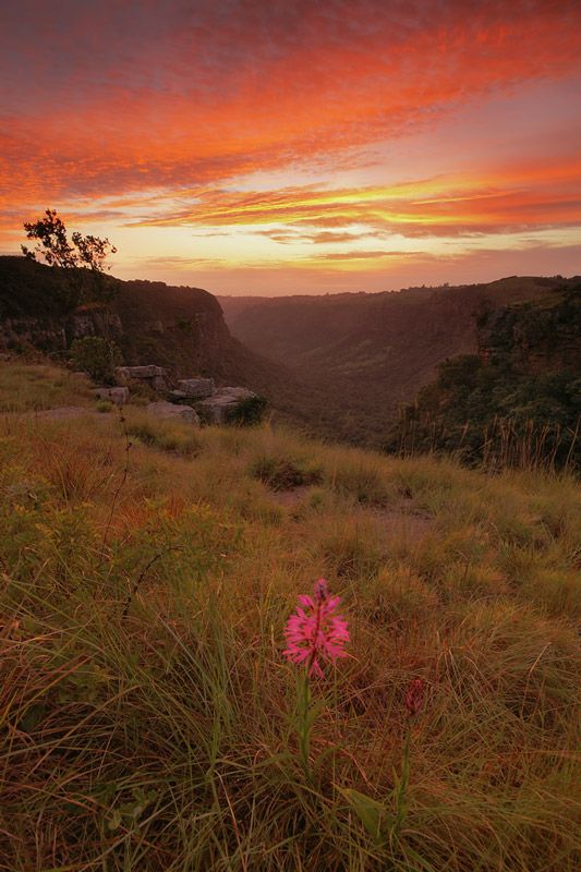 Kranzkloof Nature Reserve in KwaZulu-Natal used as a symbolic ashes scattering location
