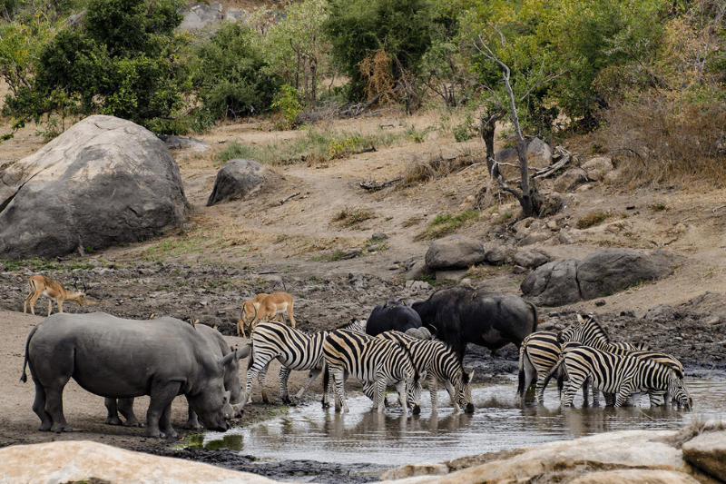 Kruger National Park in South Africa used as a symbolic ashes scattering location