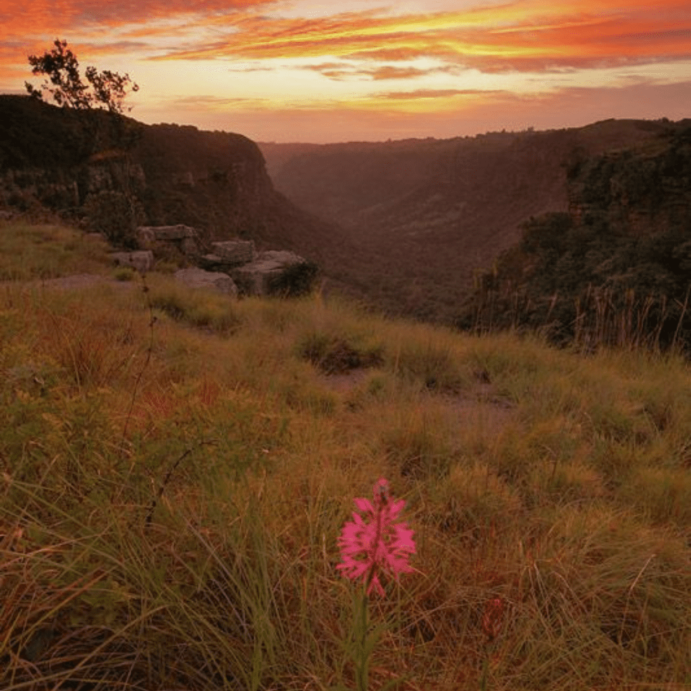 Kranzkloof Nature Reserve in KwaZulu-Natal used as a symbolic ashes scattering location